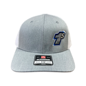 Youth Grey/White 1s Hat