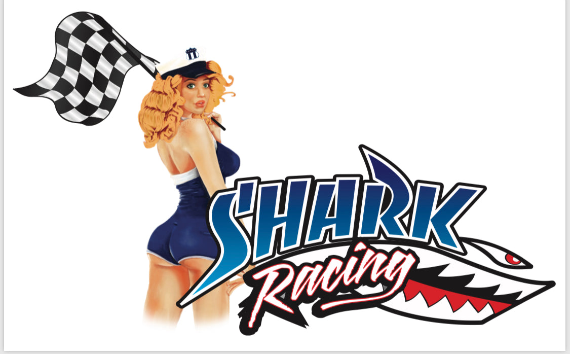 Shark Racing Decal Pin up